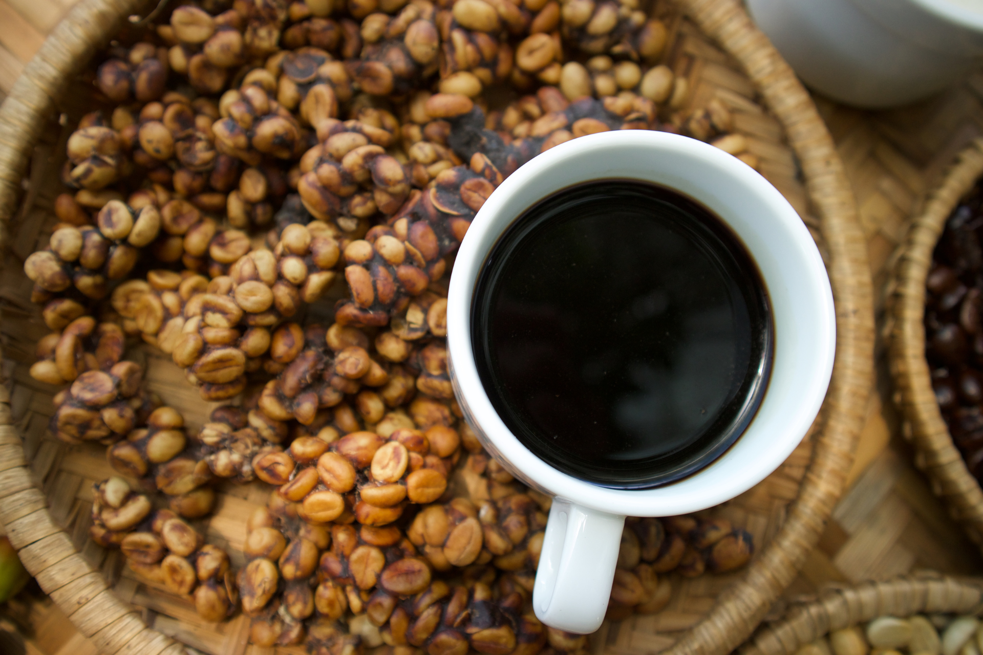 Kopi Luwak is the most expensive coffee in the world